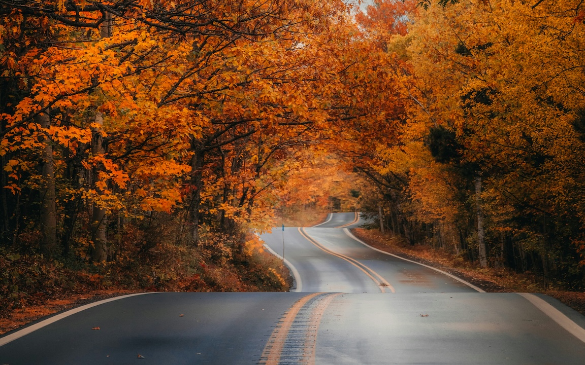 The Road to VIS 2026